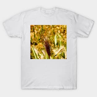 cli wheat T-Shirt